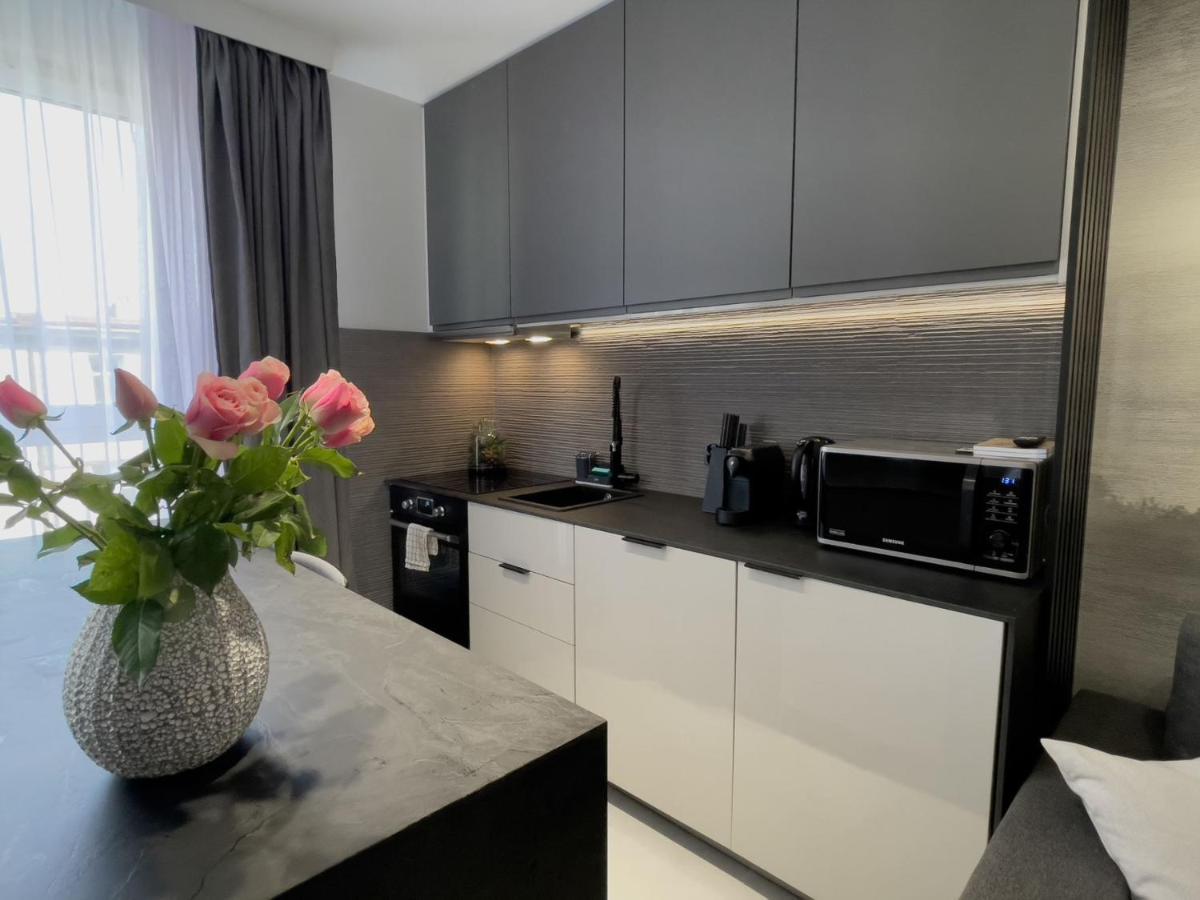 Urban Apartments Premium, Opolska 10 No 89, Free Garage, Self Check-In Katoviçe Dış mekan fotoğraf