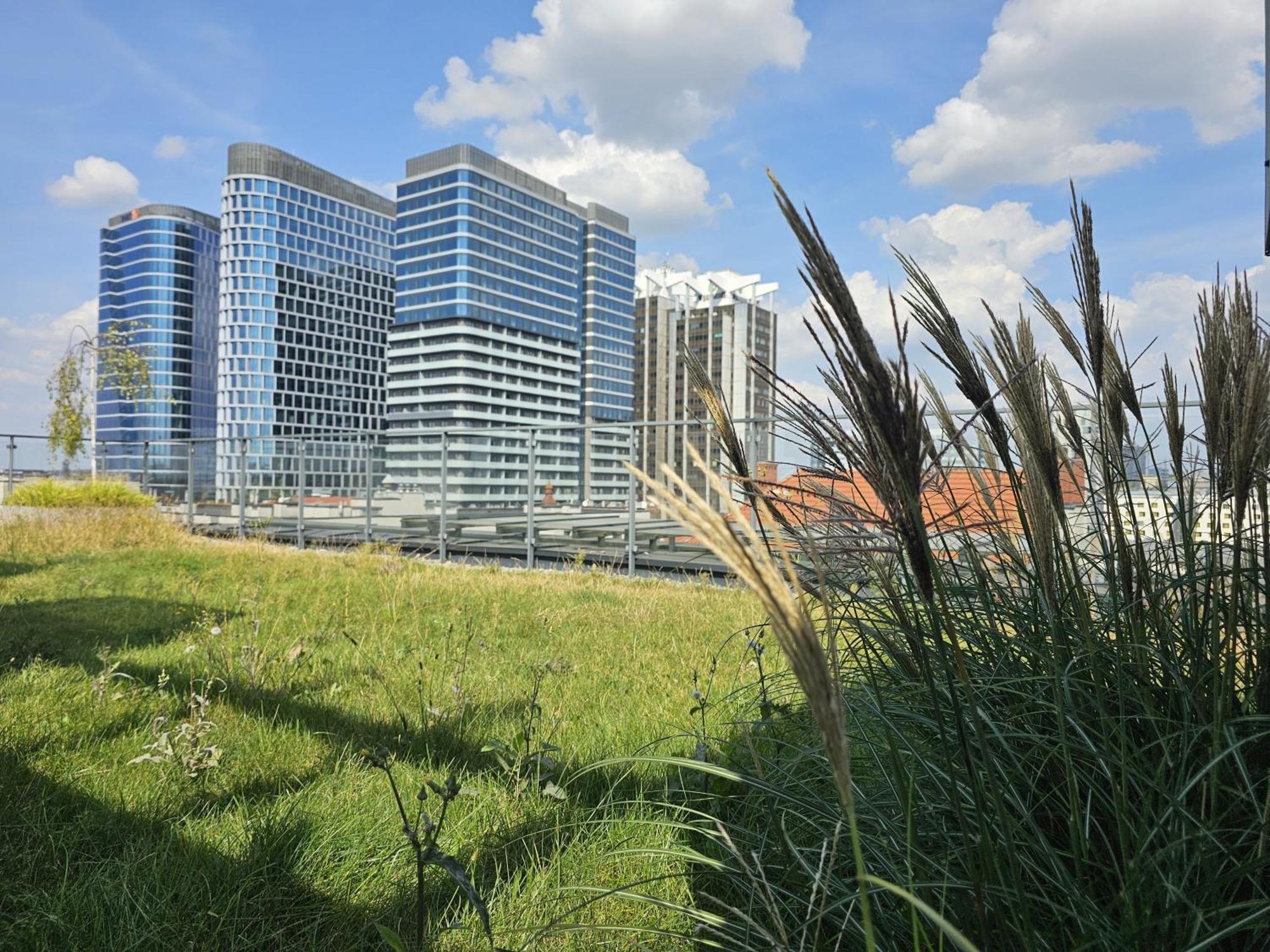 Urban Apartments Premium, Opolska 10 No 89, Free Garage, Self Check-In Katoviçe Dış mekan fotoğraf